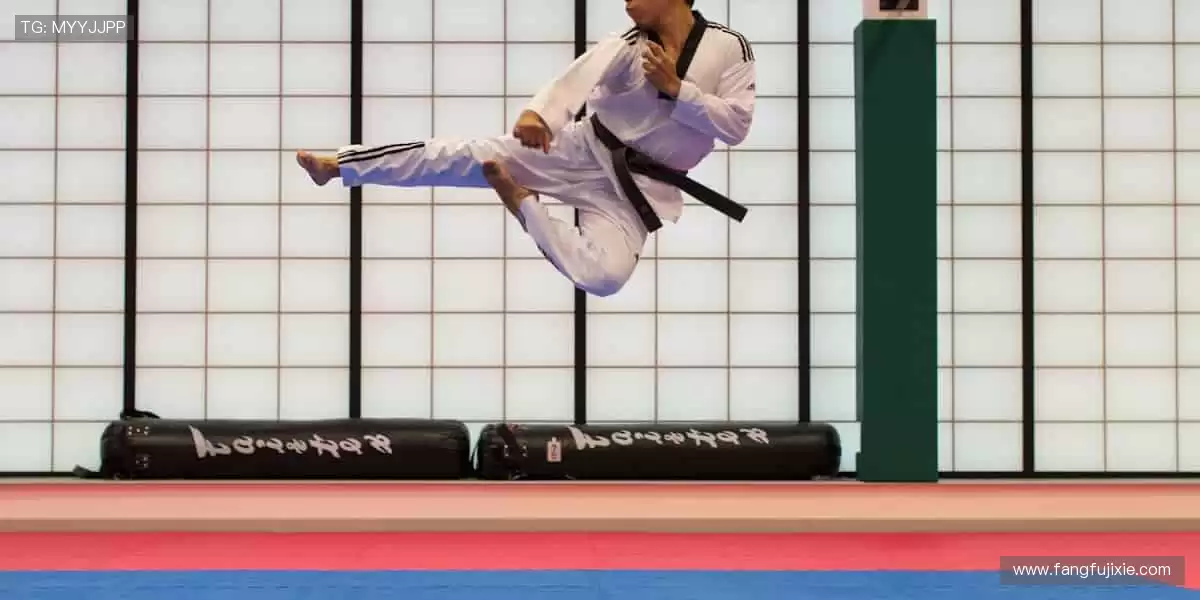 🎉 冠军之路,与你同在,